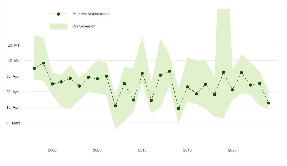 Eine Grafik über den Zeitpunkt des Blattaustriebes der letzten 20 Jahre. Infografik