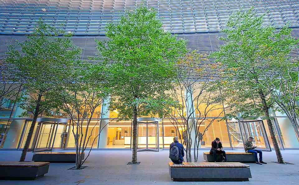 Durch Jungbaumpflege nachhaltig Kosten sparen und Gefahren vorbeugen