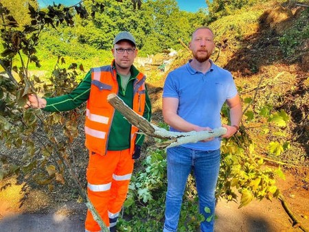 Der städtische Gärtner Marcel Hampel und Felix Hüttl, Leiter Abteilung Umwelt und Klimaschutz
