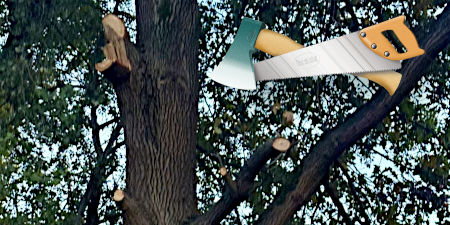 Unsachgemäßer Baumschnitt, teilweise rabiat abgerissene Äste.