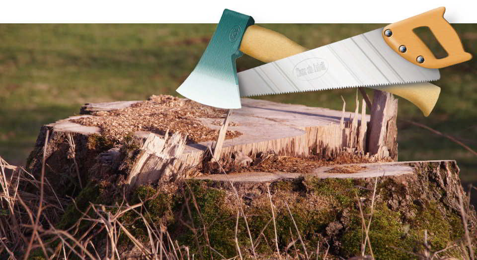 Baumstumpf111122 Baumstumpf und gekreuzte Axt und Säge