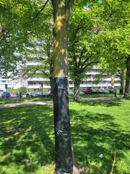 Abdeckung mit Wundfolie