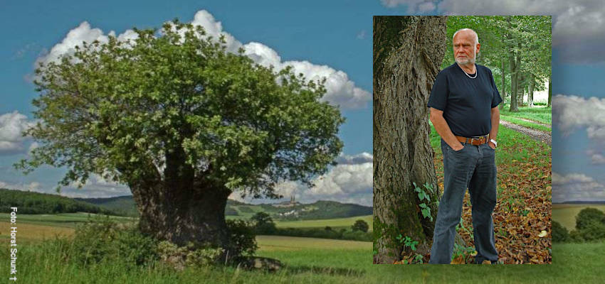 Die Fotomontage zeigt das Naturdenkmal "Hüter des Feldes" und Horst Schunk aus Coburg 