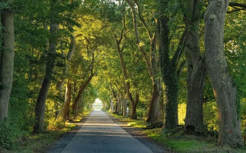 Leybuchtpolder Die Jury empfindet das Bild als ein echtes Gesamtkunstwerk mit hervorragender Bildqualität.