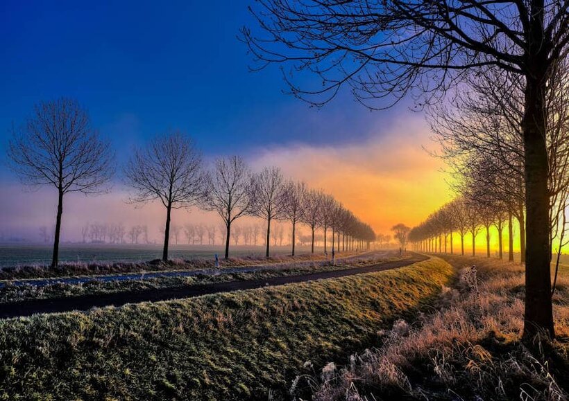Eschen-Allee in Sachsen. Dieses Bild ist ein sehr schönes und positives Beispiel für gelebten Alleenschutz.