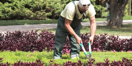 Mann beim schneiden einer Hecke