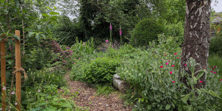 Beete mit stehendem Totholz und Holzweg