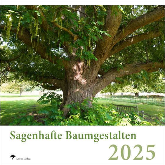 Titelbild des neuen Baumkalenders Sagenhafte Baumgestalten 2025