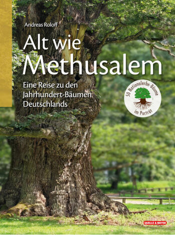 Das Cover zeigt den mächtigen Stamm einer Ivenacker-Eiche