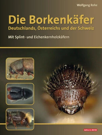 Der Titel zeigt mehrere Fotos von Borken- und Splintkäfern
