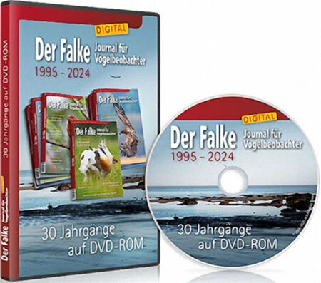 Hülle und einzelne DVD-ROM
