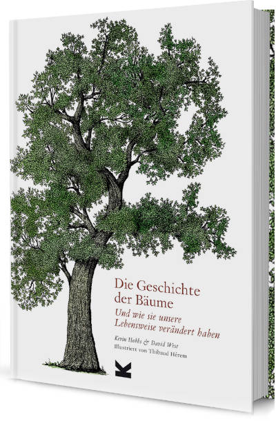 Eine visuelle Reise von den frühesten bekannten Baumarten auf unserem Planeten 