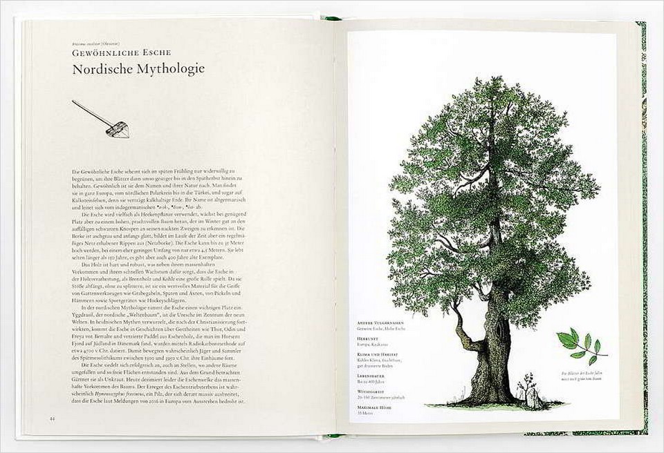 Blick in das Buch Innenseiten Beispiel