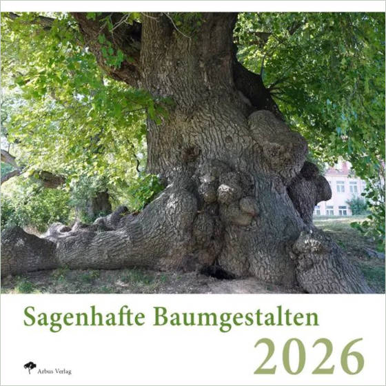 Sagenhafte Baumgestalten 2026 Das Titelbild zeigt die Mahllinde von Vogtei-Niederdorlau in Thüringen