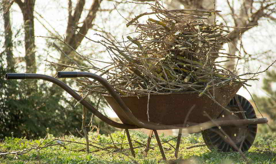Baumschnittgut Beim Baumschnitt angefallenes Schnittgut liegt auf einer Schubkarre