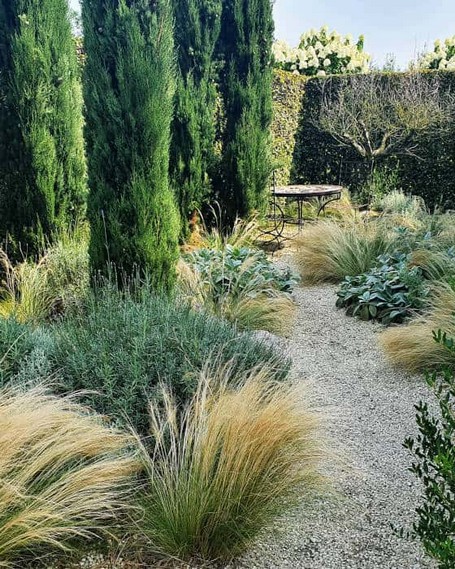 Als Strategie gegen Hitze befindet sich der Großteil des Echten Federgrases unter der Erde. Foto: BGL Garten bepflanzt u. a. mit Federgras