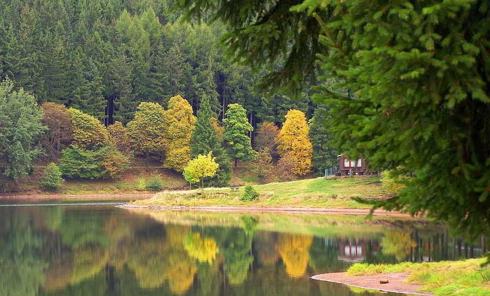 Herbstlaubfall Die Lütschetalsperre im Thüringer Forstamt Finsterbergen: Während Laubhölzer einen farbenfrohen „Indian Summer“ zaubern, bleiben die Nadelbäume -aus gutem Grund- ganzjährig grün. Foto: Dr. Horst Sproßmann