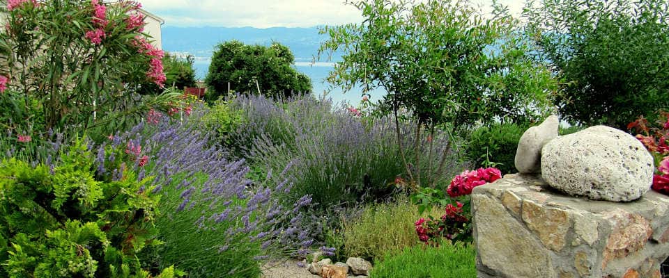 Mediterraner Garten. Foto: Tib Val auf Pixabay Hitzekünstler in einem mediterranen Garten