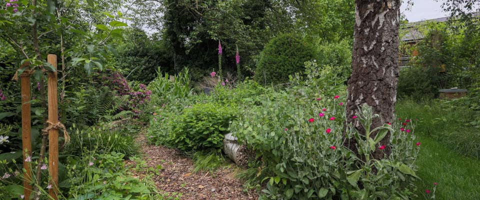 Beete mit stehendem Totholz und Holzweg