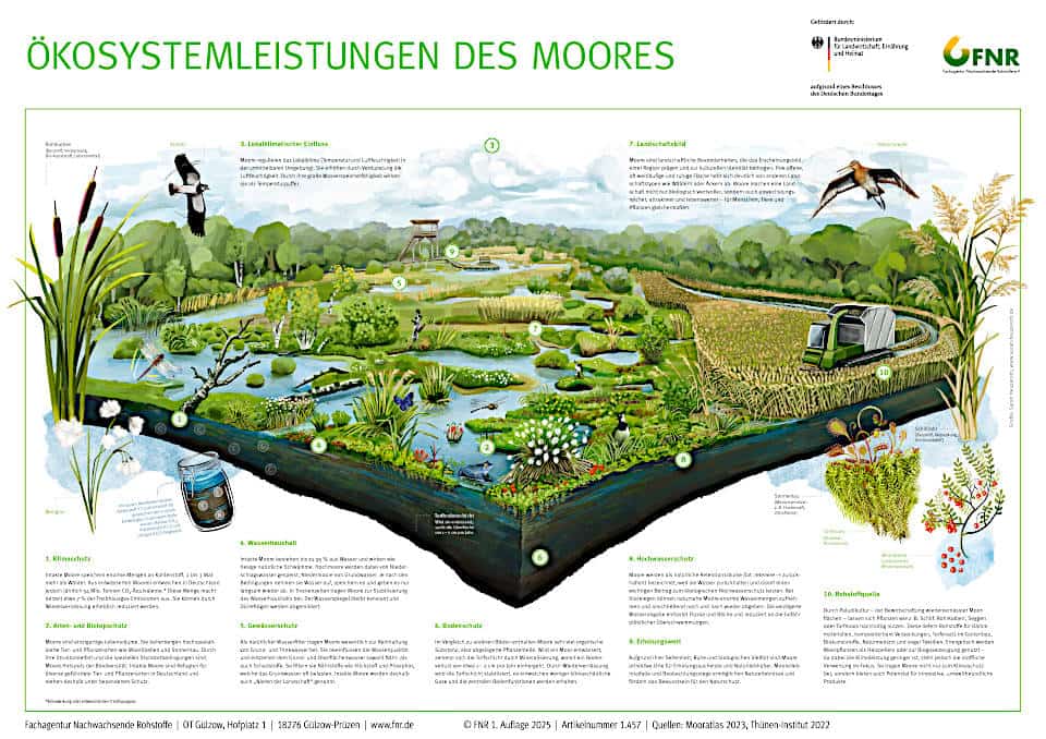 Eingebunden in eine ausdrucksstarke und lebendige Illustration der Hamburger Grafikerin Sarah Heuzeroth bringen kurze Texte die Zusammenhänge auf den Punkt. So wird Moorwissen visuell ansprechend und leicht verständlich vermittelt. 