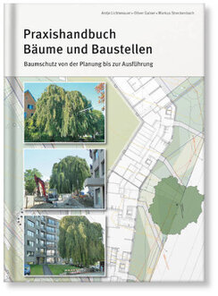 Baumschutz von der Planung bis zur Ausführung
