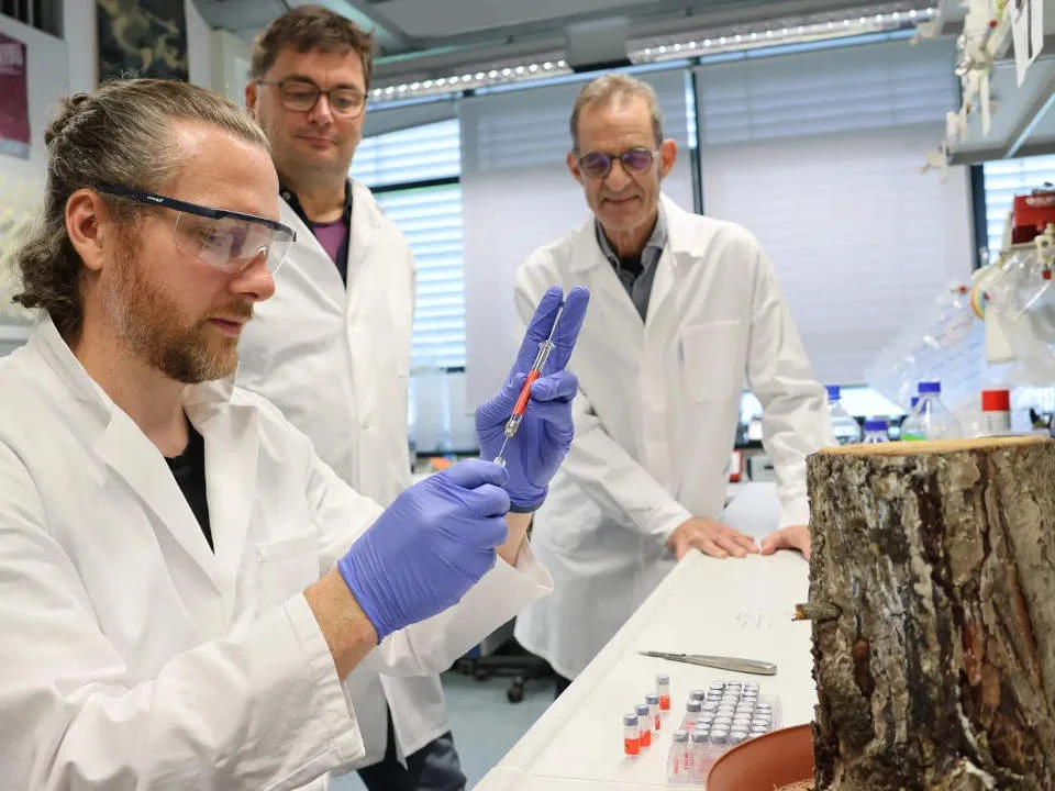 Andrew O'Donnell, Axel Schmidt und Jonathan Gershenzon im Labor