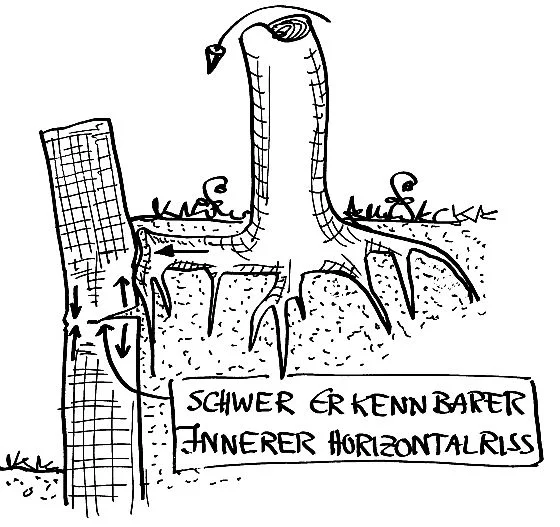 Mauerrisse 9 Grafik 9