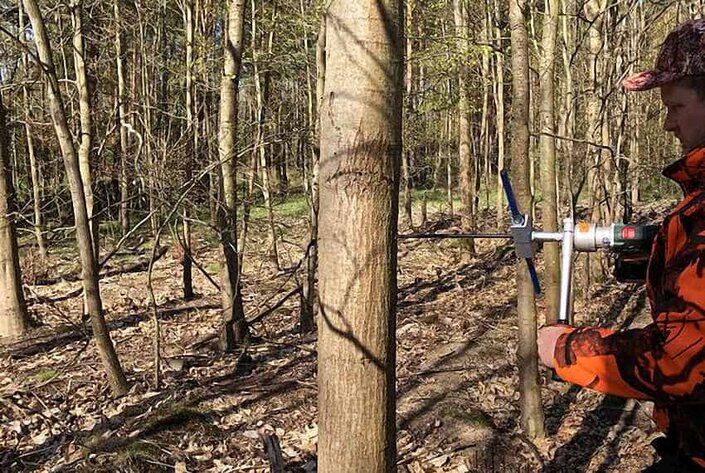 Bohrkernentnahme mit Zuwachsbohrer