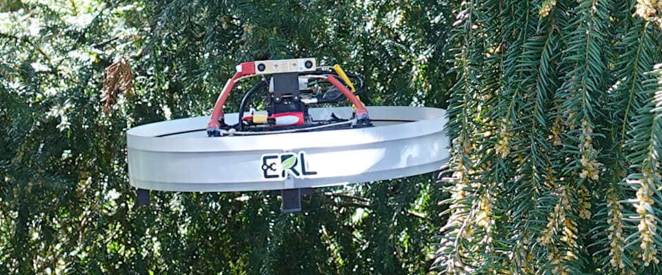 Die Drohne hat einen stromlinienförmigen Körper, um den Kontakt mit Ästen überall wahrzunehmen. Drohne im Geäst eines Nadelbaums