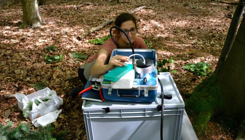 Eine Frau sitzt vor einer Messeinrichtung und kontrolliert den Datenfluss