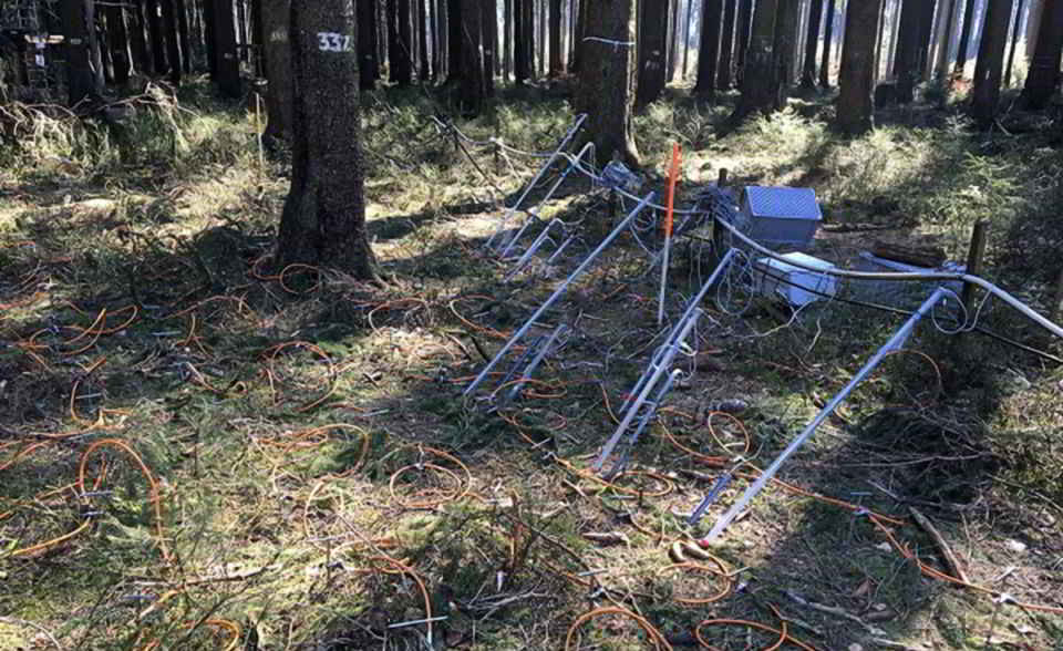 Was wie ein verkabelter Waldboden aussieht, sind Messgeräte, um das Bodenwasser zu untersuchen. 
