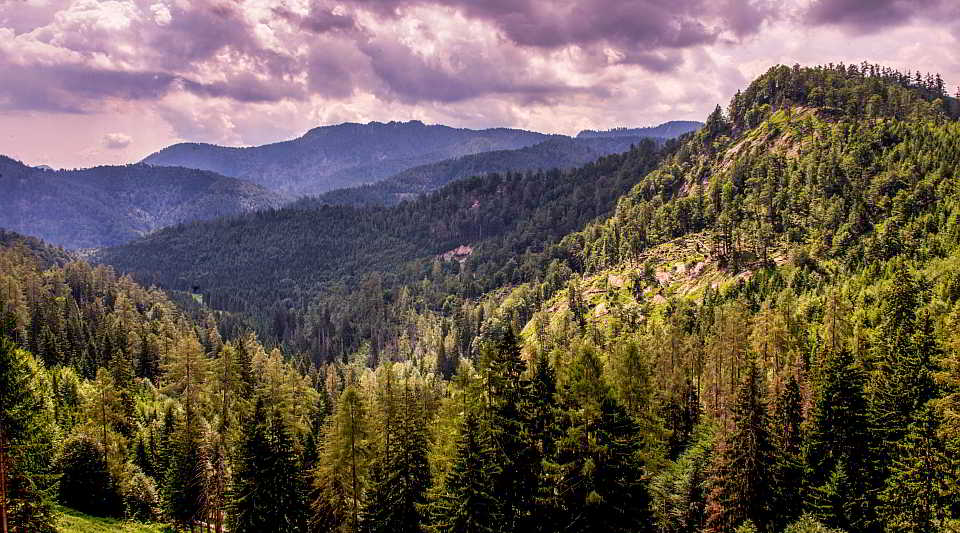 Panorama Nationalpark Kalkalpen. Foto: Jack Haijes