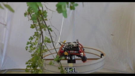 Video 2 : Die Drohne mit stromlinienförmigem Körper, reibungsarmem Material und haptischem Feedback kann sich durch den Ast mit Blättern bewegen.