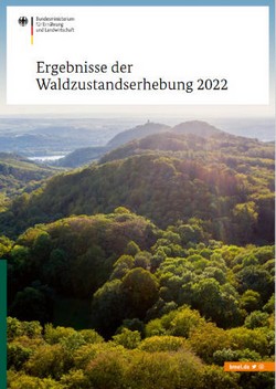 Cover des Berichtes der Waldzustandserhebung 2022