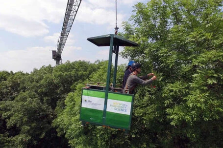 Auwald Forschende in einer Baumkrone