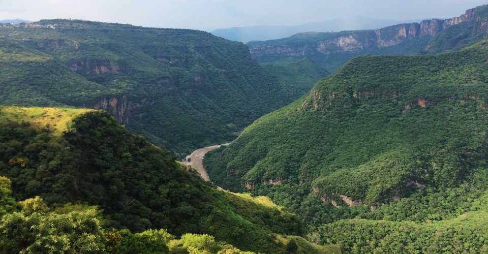 Blick in eine Schlucht mit dem Rio Grande in Mexiko