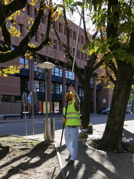 Mann mit gelber Warnweste nimmt Blattproben von Rosskastanien an einem Baum in städtischer Umgebung mit Backsteingebäude im Hintergrund.