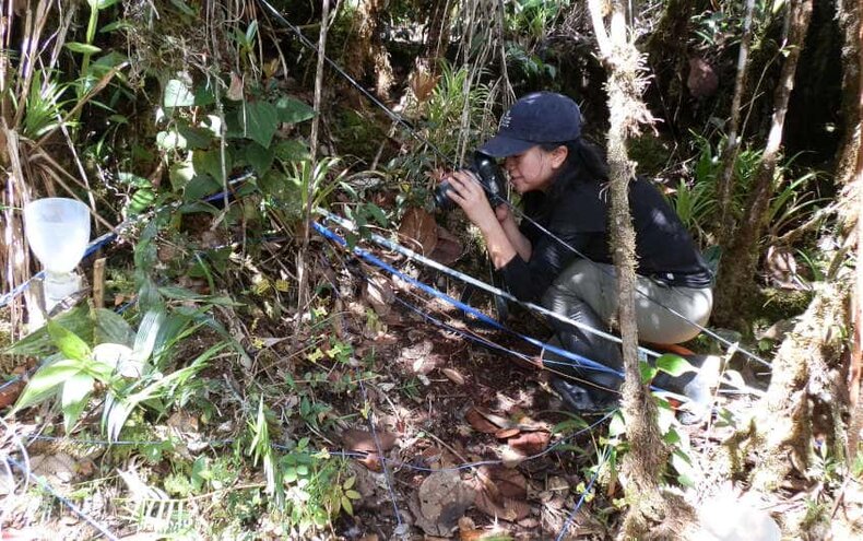 Daisy Cárate Tandalla dokumentiert die verpflanzten Setzlinge in einer Versuchsfläche. Eine Frau mit Kamera