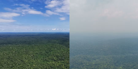 Ein Blick vom Forschungsturm ATTO auf den Amazonas-Regenwald bei klarer Sicht und bei dichtem Rauch im Jahr 2023, als eine außerordentliche Dürre herrschte und viele Feuer wüteten. Amazonas-Regenwald bei klarer Sicht und bei dichtem Rauch im Jahr 2023.