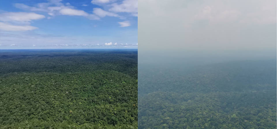 Amazonas-Regenwald bei klarer Sicht und bei dichtem Rauch im Jahr 2023