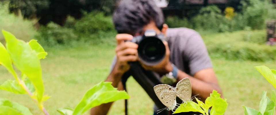 Naturphotographen weltweit teilen ihre Aufnahmen zur Biodiversität in den sozialen Medien – ein riesiges Potenzial auch für die Biodiversitätsforschung. Fotograf richtet seine Kamera auf einen Schmetterling