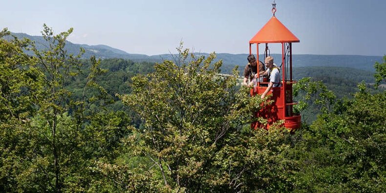 Gondel mit zwei Personen im Blätterdach