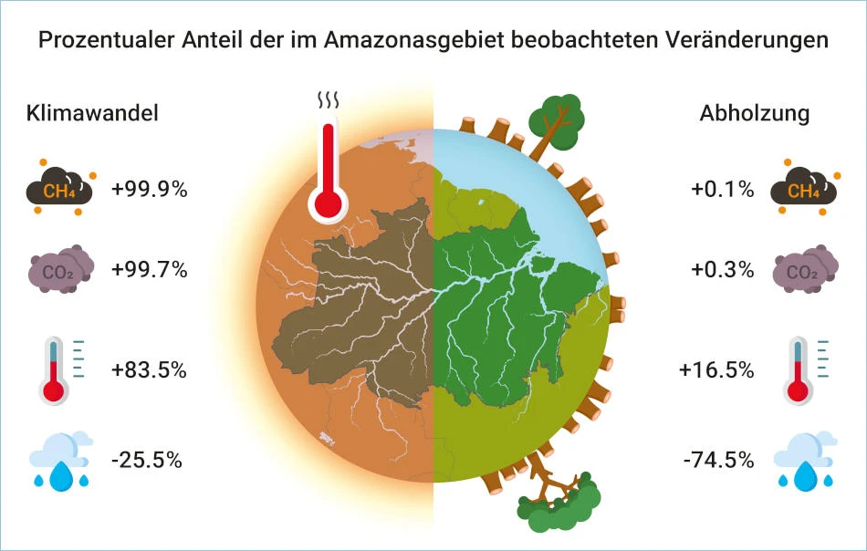 Darstellung der prozentualen Anteile des globalen Klimawandels und der Entwaldung.