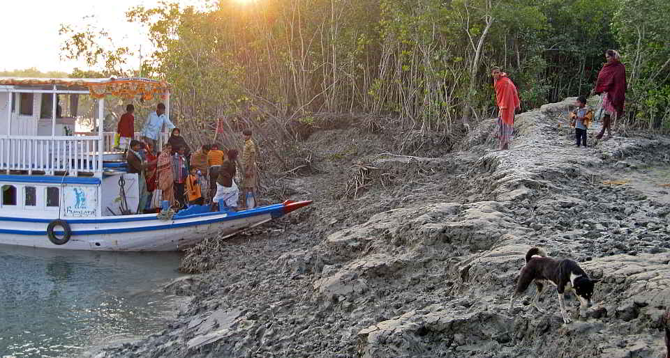 In den Mangroven der Sundarbans In den Mangroven der Sundarbans. Foto: Annika Stalling, Leibniz-Zentrum für Marine Tropenforschung