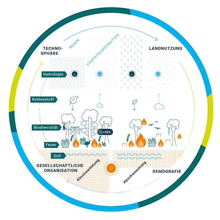 Infografik Globale Vernetzung der Tropenwälder