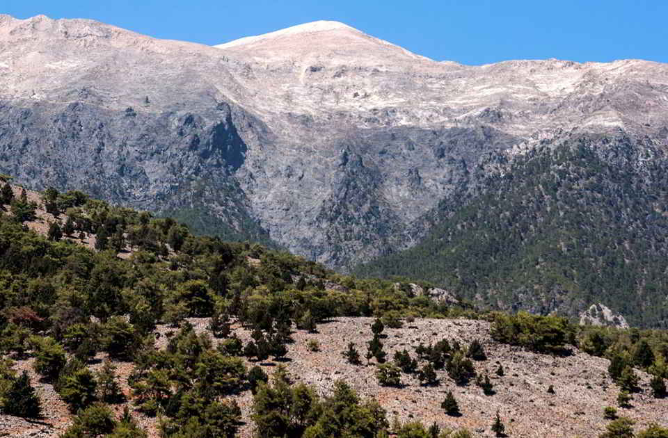Kreta Blick auf die Baumgrenze am Gebirgsmassiv Lefka Ori auf Kreta. Foto: Dimitris Poursanidis