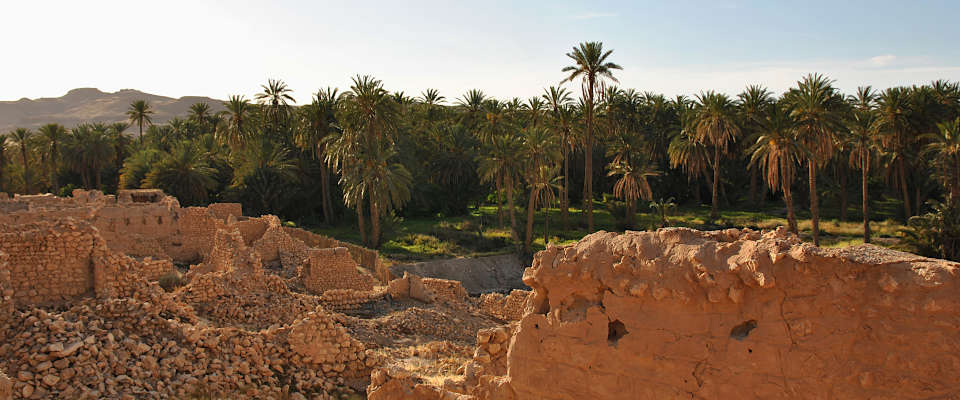 Oasen sind Zentren der biologischen und kulturellen Vielfalt in der Sahara (hier ) Die Oase Mides in Tunesien