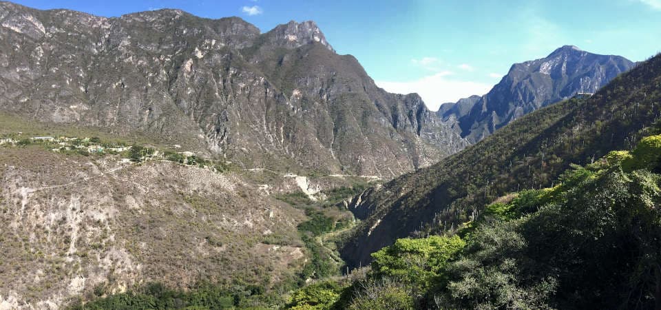 Vegetation aus trockenem Buschland und Eichen-Kiefernwald
