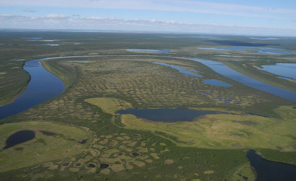 Luftaufnahme der offenen Lärchenwälder