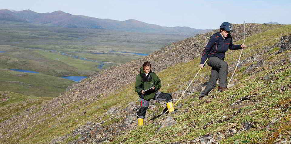 Vegetationsaufnahmen am Hang im Gebirge in Keperveem (Russland, Autonomer Kreis der Tschuktschen). Foto: Julius Schröder